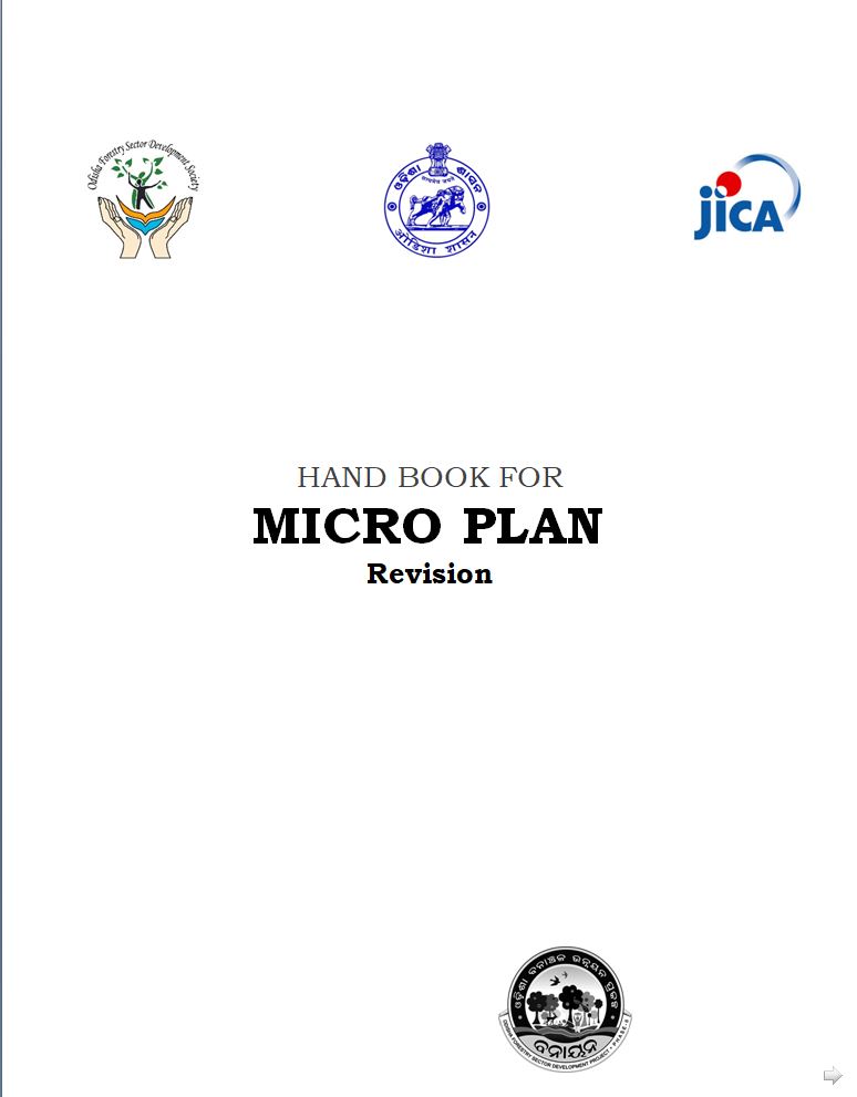 Revised Revisit of Microplan Word Document