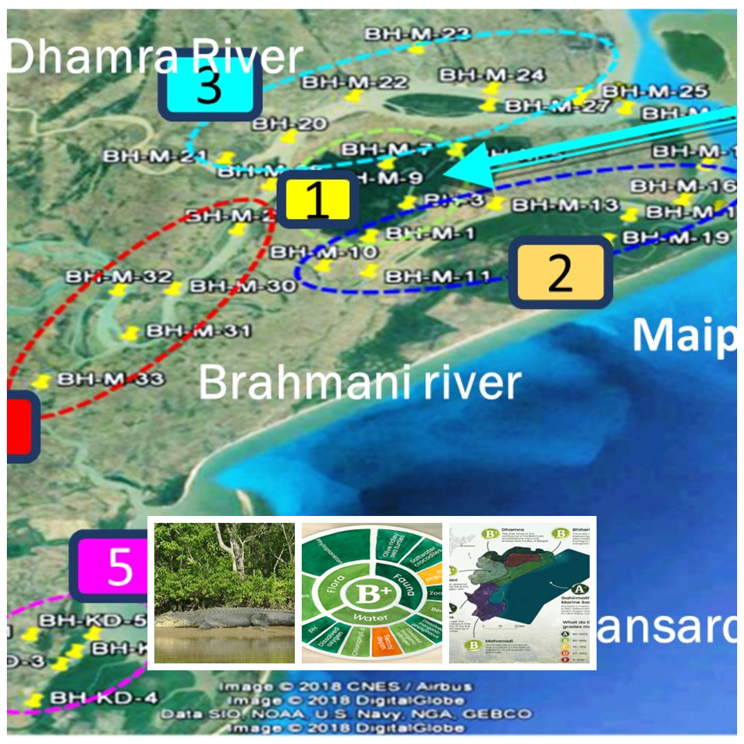 BCA Monitoring Site