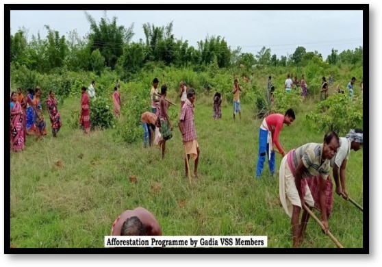 Gadia VSS Thenagapalli and Plantation Drive
