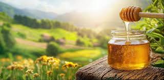 Honey Harvest