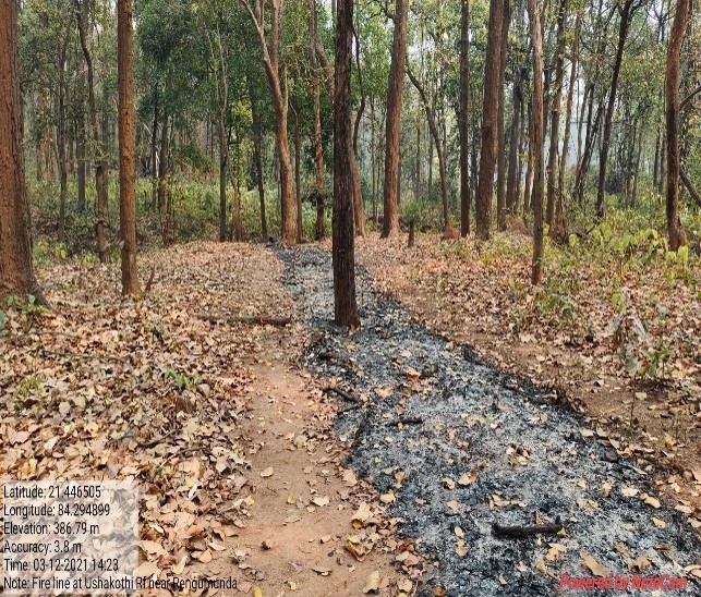 Fire Line