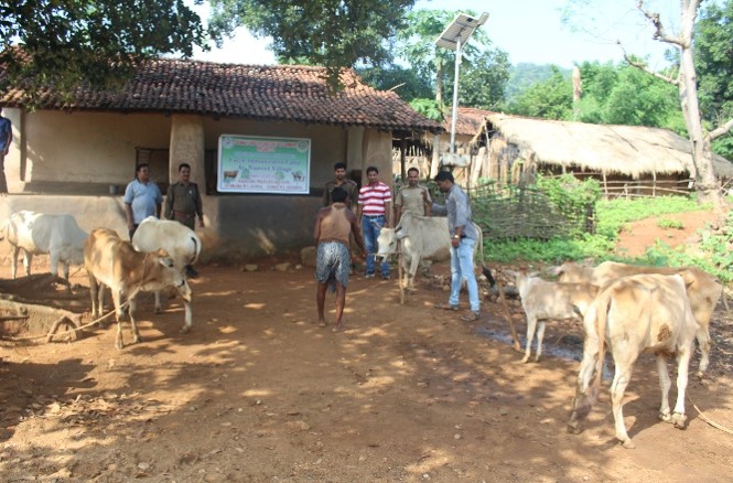 Livestock Health